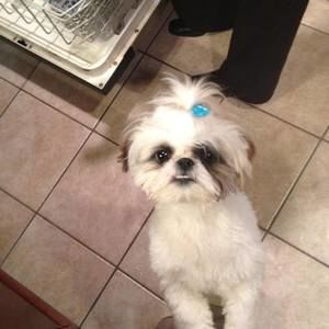 Meet your Posher, Eric